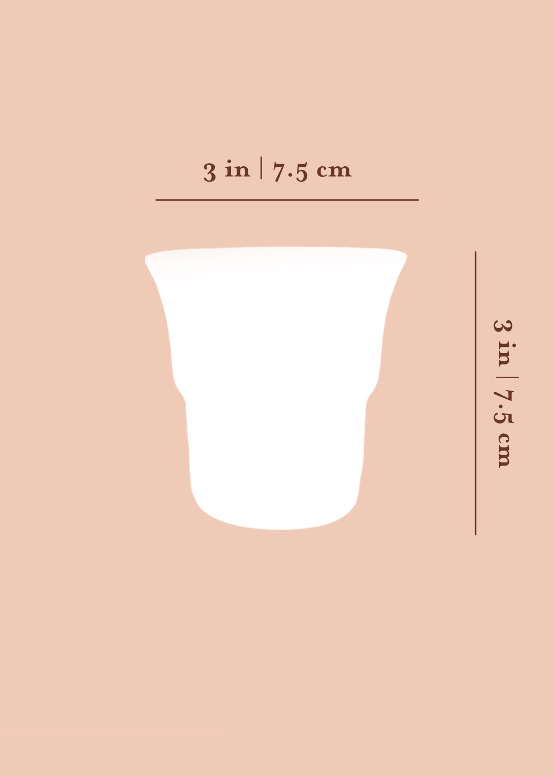 Aranya Filter Coffee Set