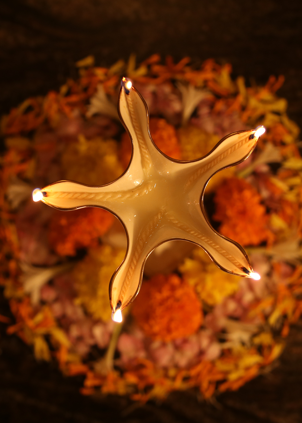 Diwali Premium Diya